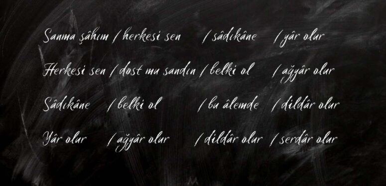 ŞAİRLER ÖLÜR  MÜ?