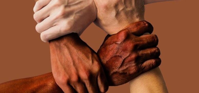 Barışın Kaybedeni Olmaz