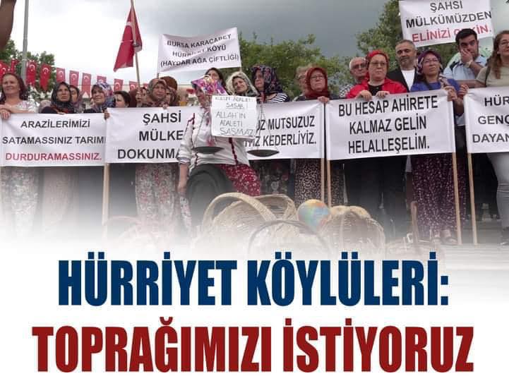 HAVANDA SU DÖVÜYORLAR!