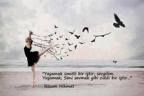 Güneşi Kalbime Koydum