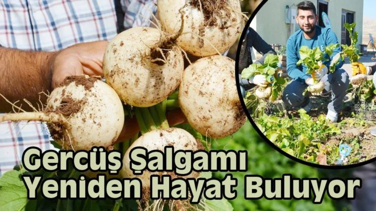BATMAN MİLLETVEKİLİ FERHAT NASIROĞLU: “GERCÜŞ’ÜN ÜZÜMÜ VE ŞALGAMI (ŞELİM) TÜM TÜRKİYE’YE TANITILACAK”