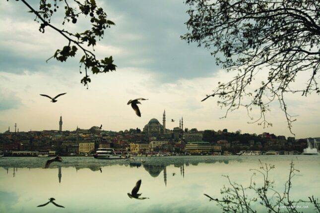 “İradenin Hırsızlığı”