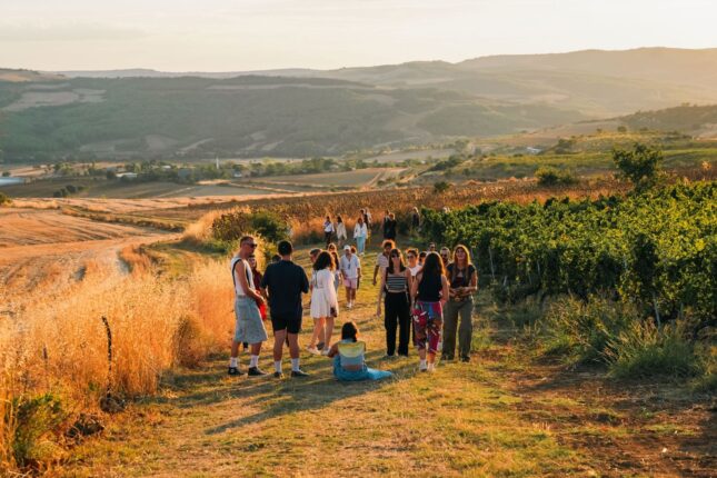 Barbare Studio’nun Arşiv ve Kamusal Programı “‘Kayda Değer”in Detayları Netleşti