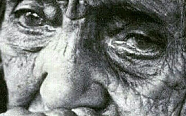 “Analar Ağlamasın” Diye Haykırıyoruz: Bu Bir Temenni Değil, Çağrıdır