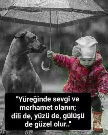 “Merhâmetli ol” — Yitik Canlara Ağıt: “Siz Hepiniz KATİLSİNİZ”