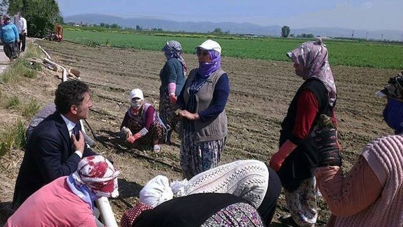 SÖMÜRÜLEN VE HAKLARI VERİLMEYEN KADIN ÇİTÇİLER GÜNÜNÜ KUTLAMAYA HAKKIMIZ VAR MI?