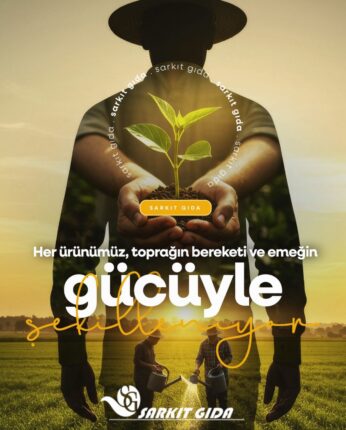 Sebze Meyvede Güvenin Adı: Melih Eğilmez ve Sarkıt Gıda