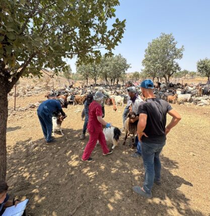 Gercüş’te Tarımın Gücü ve Dönüşümü: Eğitim, Teknoloji ve Bilinçli Üretimle Geleceğe