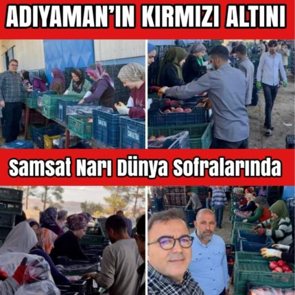 SAMSAT NARI TÜRKİYE’NİN GURURU OLDU!