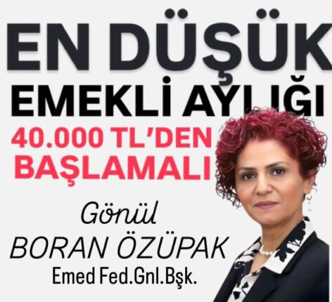 Alper Özüpak’tan Sert Çıkış: “Vekiller Milletin Değil, Partilerin Memuru Haline Geldi”