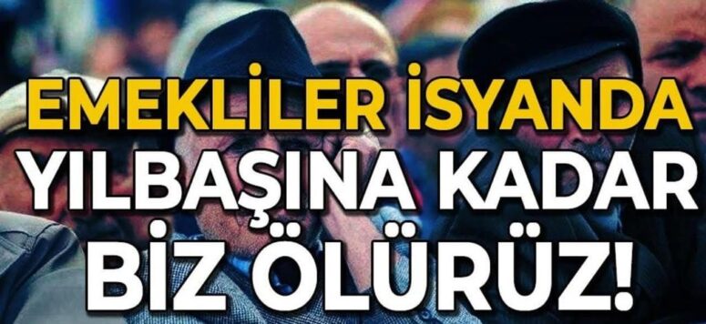 Gönül Boran Özüpak’tan Sert Çıkış: “Yılların Emeği Nerede?”