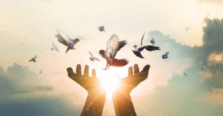 “Yardım ettiğinde tek duymak istediğin, Allah razı olsun olsun.”