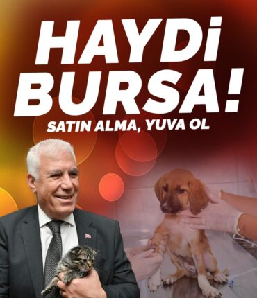 Haydi Bursa: Her Şey Sevgiyle Başlar