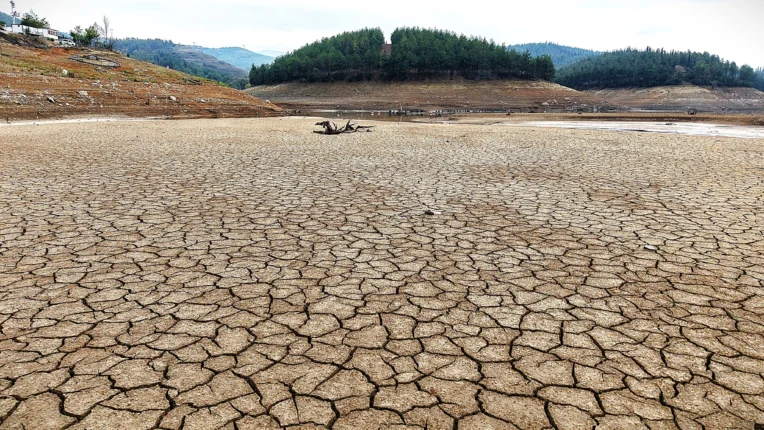 “Bursa Sudan İbaretti… Şimdi Susuz Kaldı!”