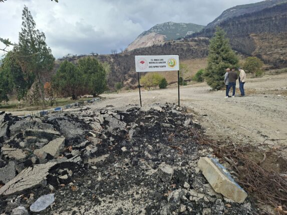 Gözümüzü Boyamak İçin Ağaçlandırma Yapacaklar!