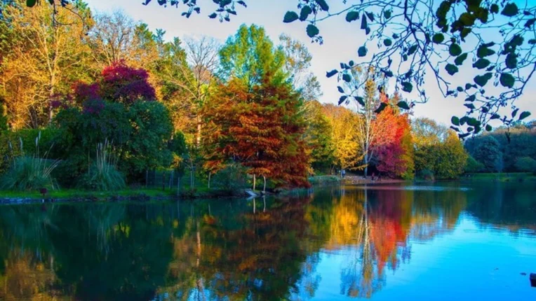 Eylül’ün Sessiz Gücü: Yenilenmenin ve Derinleşmenin Ayı