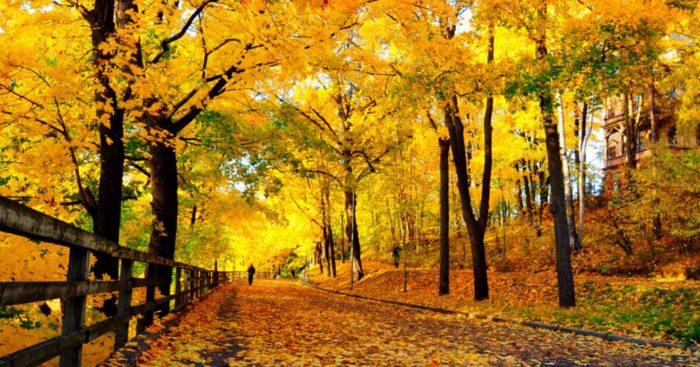 Zeki Baştürk’ten Eylül Güneşine Duygusal Veda