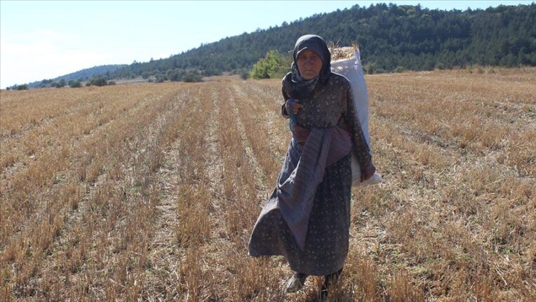 “Köylü Üretmezse, Şehir Aç Kalır!”