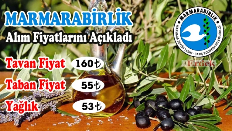 Marmarabirlik sofralık zeytin alım miktarını bir önceki yılın üzerinde planladı