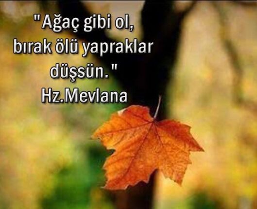 “Sonbahar Gibi Olmak”