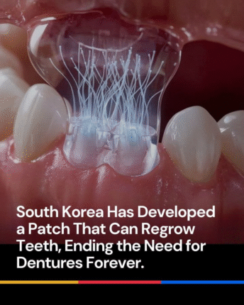 Diş Hekimliğinde Devrim: Güney Kore’den Doğal Diş Yenileme Yamaları!