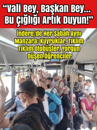 Vali Bey, Başkan Bey… Bu Çığlığı Artık Duyun!