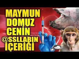 Murat Koç yazdı; Aşılarla Fıtrata Saldırı.! Domuzlaştırılıyor muyuz?