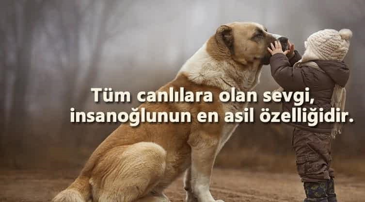 GMC Genel Başkanı Köksal Selçuk’tan Duygusal Hayvan Sevgisi Mesajı