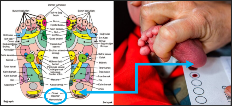 Emine Erdoğan Hanımefendi’ye Topuk Kanı Mektubu