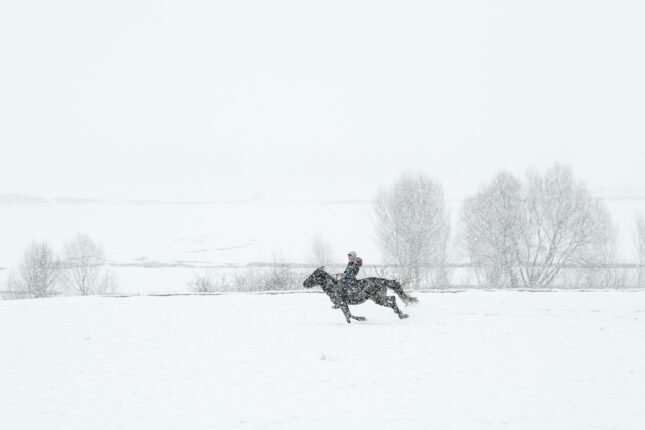 Hasan Cem Araptarlı’nın “Kar: Bir Hikâyenin İlk Cümlesi” Sergisi 7 Şubat’ta YAPI KREDİ BOMONTİADA’da Açılıyor