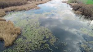 Onlar Yine Fark Yarattı: Kırkgöz Han ve Kırkgöz Göleti Çevresi Doğaseverlerle Temizlendi