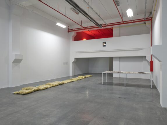 Banu Cennetoğlu’nun “ne karanfil ne kurbağa.” adlı sergisi 24 Ocak’a dek İMALAT-HANE’de devam ediyor