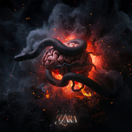 26 Aralık 2025 Çıkışları | AVRUPA MÜZİK