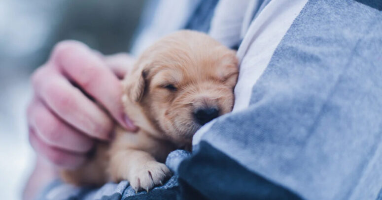 Kaderin Ötesinde Bir Kabulleniş: Seçmek mi, Sahiplenmek mi?