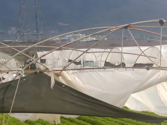 Bursa’yı Fırtına Vurdu: Tarım Alanlarında Büyük Yıkım, Zarar Milyonları Buluyor