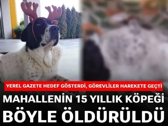 Demetevler’de Vicdan İsyanı