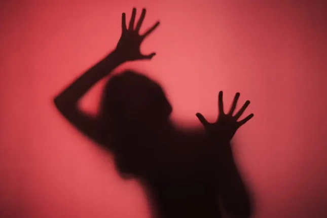 Kadın Hâkime Cinsel Tacizde Bulunan Hâkime 7 Bin Euro Para Cezası