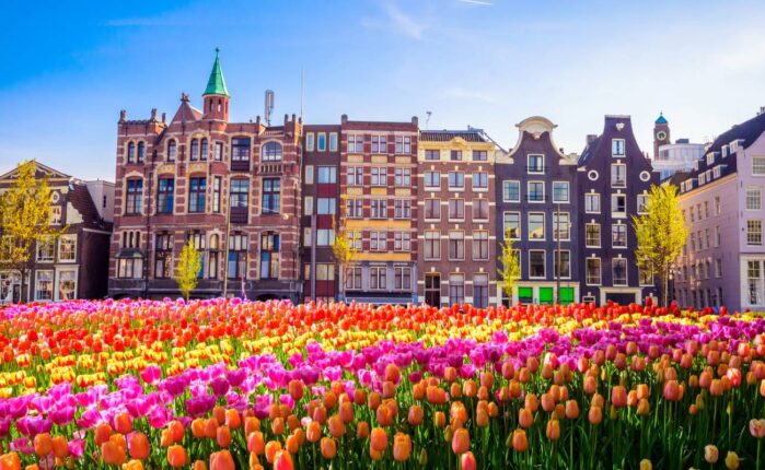 Hollanda’da Renkli Bir Geleneğe Hazırlık: Ulusal Lale Günü Başlıyor