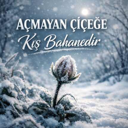 AÇMAYAN ÇİÇEĞE KIŞ BAHANEDİR