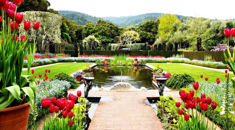 “Meslekte Birlik ve Beraberlik ile Yola Devam Ediyoruz”