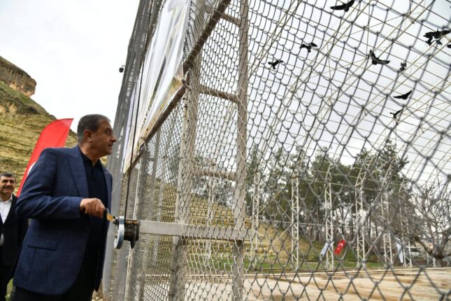 Birecik’te 277 Kelaynak Doğaya Salındı: Nesli Tehlike Altındaki Tür İçin Kritik Adım