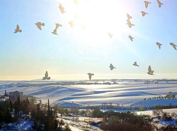 Kahta’da İş İnsanı Mesut Çavuş’tan Ramazan Ayı Mesajı