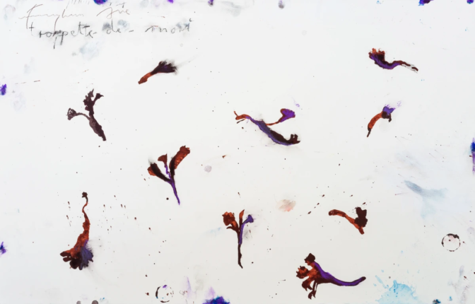 Shiva Zahed Gallery echos Adlı Sergisiyle 28 Şubat’ta Pera’da Açılıyor