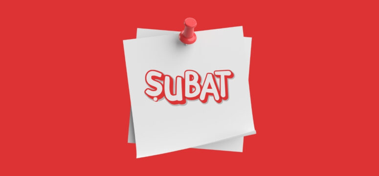 Bu Şubat, Başka Şubat…