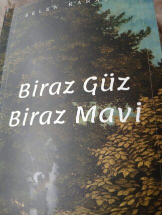 ARA RENKLERDE BİR YOLCULUK: BİRAZ GÜZ BİRAZ MAVİ
