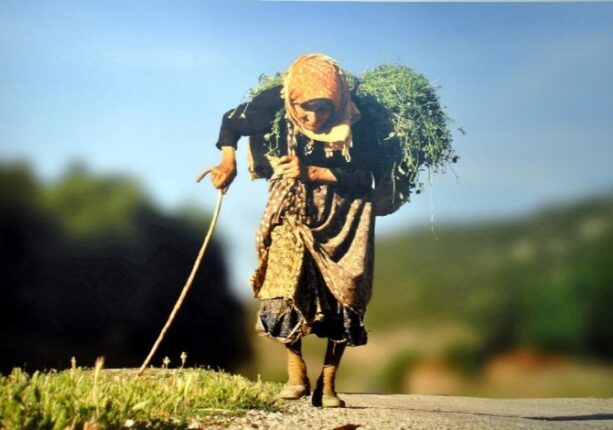 Sosyal Demokrat Kadın Mücadelesi Osmangazi’de Güçleniyor