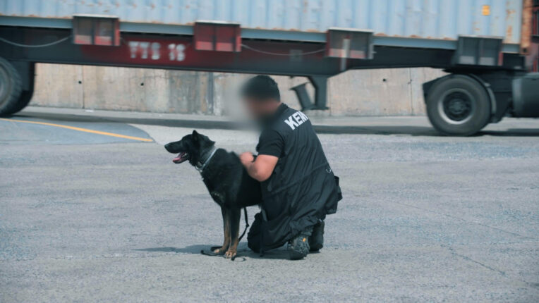 DMAX’in Yerli Yapımı  Gümrük Muhafaza Türkiye,  2. Sezonuyla Ekrana Geri Dönüyor!