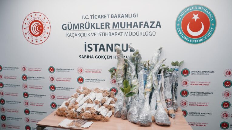 Gümrük Muhafaza Türkiye