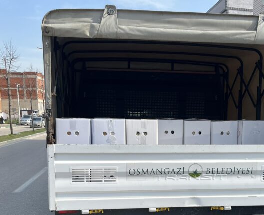 Bursa’da Ramazan Yardımı Tartışması: Muhtardan Osmangazi Belediyesi’ne Sert Tepki