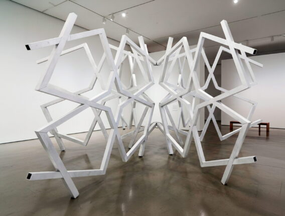 Selçuk Artut’un “Otonomi: Akışkan Geometri” Adlı Sergisi Terakki Vakfı Sanat Galerisi’nde Açıldı